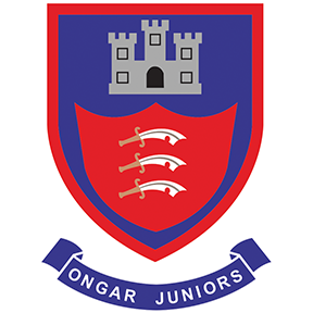 Ongar Juniors FC